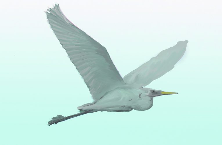 It’s been a while…